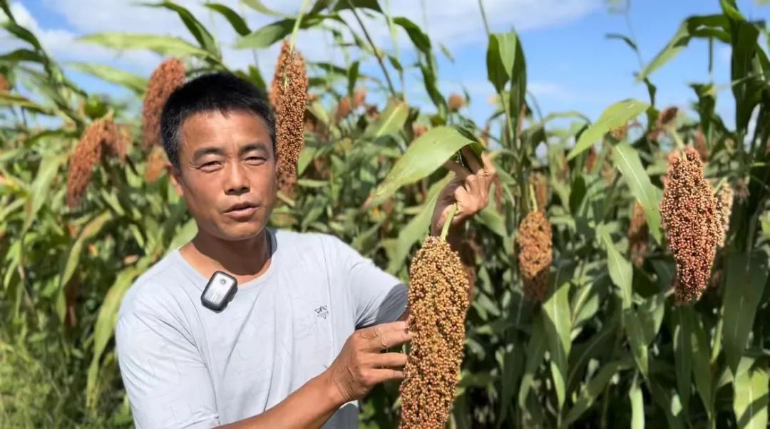 ag自助投注